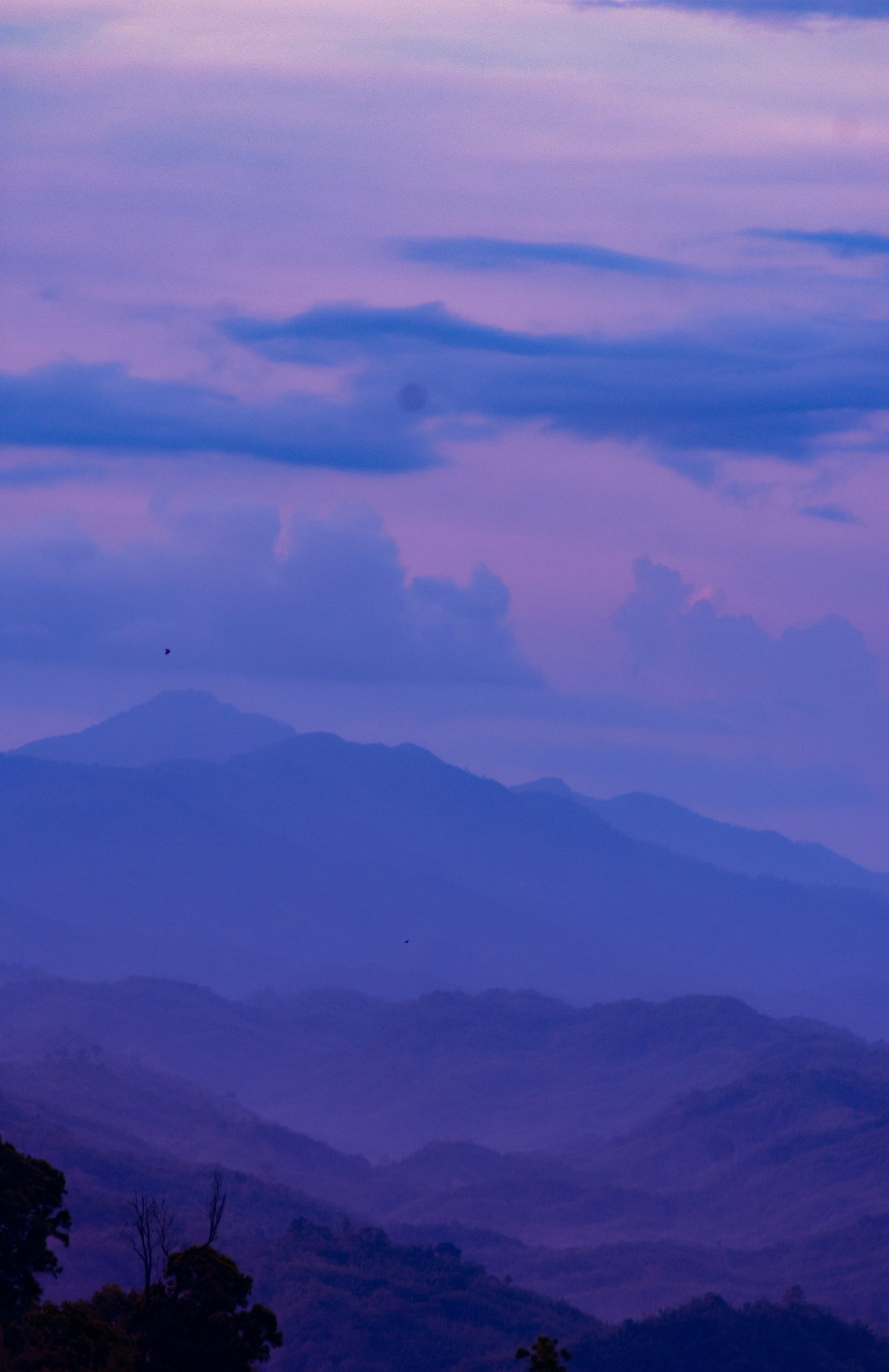 samiul haque bhuyan oe93g7l ane unsplash